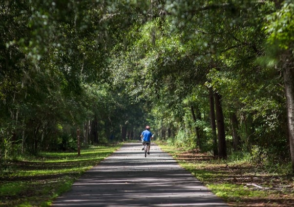 Bike Tours