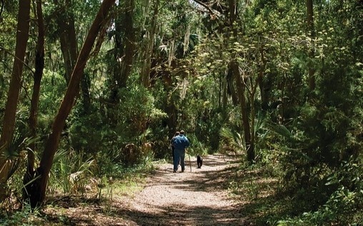 Nature Walks